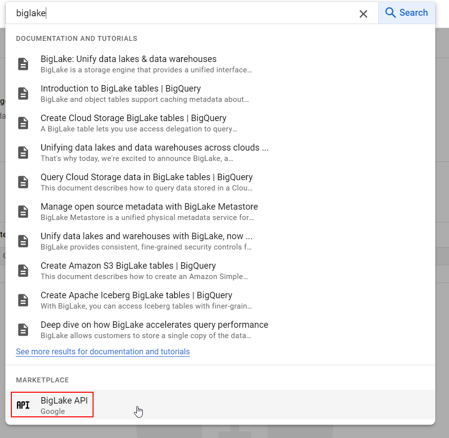 Searching for BigLake API